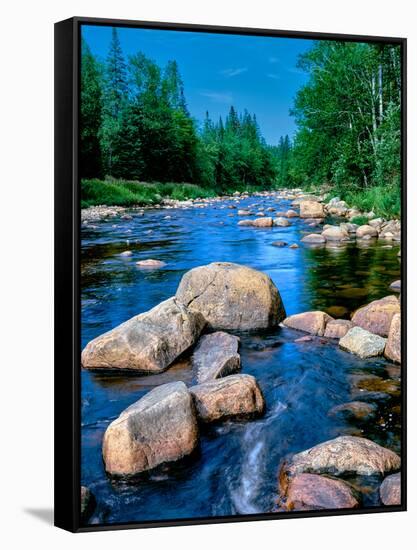 River flowing through a forest, Ausable River, Lake Placid, Adirondack Mountains, Essex County,...-null-Framed Stretched Canvas