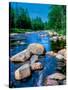 River flowing through a forest, Ausable River, Lake Placid, Adirondack Mountains, Essex County,...-null-Stretched Canvas