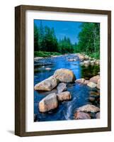 River flowing through a forest, Ausable River, Lake Placid, Adirondack Mountains, Essex County,...-null-Framed Photographic Print