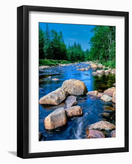 River flowing through a forest, Ausable River, Lake Placid, Adirondack Mountains, Essex County,...-null-Framed Photographic Print