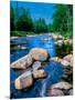 River flowing through a forest, Ausable River, Lake Placid, Adirondack Mountains, Essex County,...-null-Mounted Photographic Print