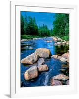 River flowing through a forest, Ausable River, Lake Placid, Adirondack Mountains, Essex County,...-null-Framed Photographic Print