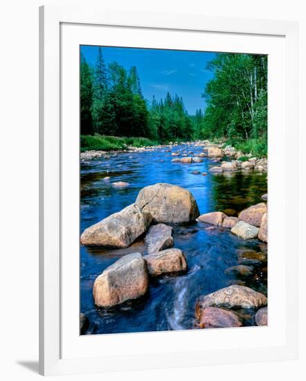 River flowing through a forest, Ausable River, Lake Placid, Adirondack Mountains, Essex County,...-null-Framed Photographic Print