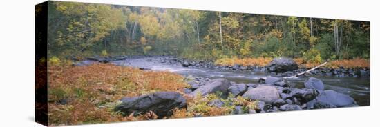 River Flowing Through a Forest, Brule River, Judge C.R. Magney State Park, Minnesota, USA-null-Stretched Canvas