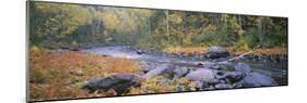 River Flowing Through a Forest, Brule River, Judge C.R. Magney State Park, Minnesota, USA-null-Mounted Photographic Print