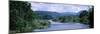 River Flowing Through a Forest, Delaware River, Delaware County, New York State, USA-null-Mounted Photographic Print