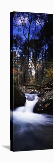 River Flowing Through a Forest, Delaware Water Gap National Recreation Area, New Jersey, USA-null-Stretched Canvas