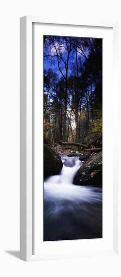 River Flowing Through a Forest, Delaware Water Gap National Recreation Area, New Jersey, USA-null-Framed Photographic Print