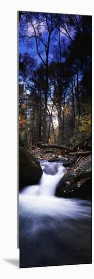 River Flowing Through a Forest, Delaware Water Gap National Recreation Area, New Jersey, USA-null-Mounted Photographic Print