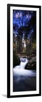 River Flowing Through a Forest, Delaware Water Gap National Recreation Area, New Jersey, USA-null-Framed Photographic Print