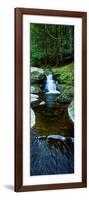 River Flowing Through a Forest, Liffey Falls, Liffey River, Tasmania, Australia-null-Framed Photographic Print