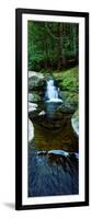 River Flowing Through a Forest, Liffey Falls, Liffey River, Tasmania, Australia-null-Framed Photographic Print