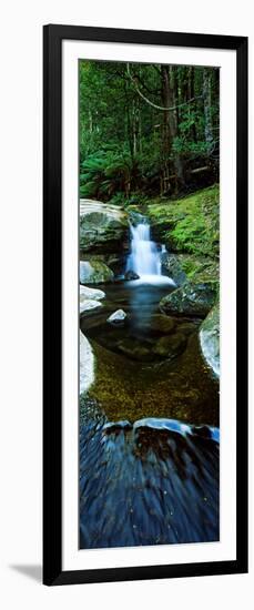 River Flowing Through a Forest, Liffey Falls, Liffey River, Tasmania, Australia-null-Framed Photographic Print