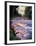 River flowing through a forest, McKenzie River, Belknap Hot Springs, Willamette National Forest...-null-Framed Photographic Print