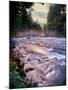 River flowing through a forest, McKenzie River, Belknap Hot Springs, Willamette National Forest...-null-Mounted Photographic Print