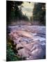 River flowing through a forest, McKenzie River, Belknap Hot Springs, Willamette National Forest...-null-Mounted Photographic Print