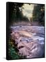 River flowing through a forest, McKenzie River, Belknap Hot Springs, Willamette National Forest...-null-Framed Stretched Canvas