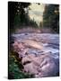 River flowing through a forest, McKenzie River, Belknap Hot Springs, Willamette National Forest...-null-Stretched Canvas