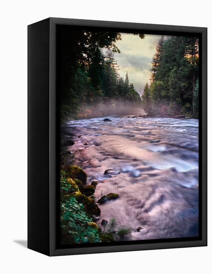 River flowing through a forest, McKenzie River, Belknap Hot Springs, Willamette National Forest...-null-Framed Stretched Canvas