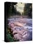 River flowing through a forest, McKenzie River, Belknap Hot Springs, Willamette National Forest...-null-Stretched Canvas