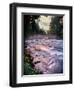 River flowing through a forest, McKenzie River, Belknap Hot Springs, Willamette National Forest...-null-Framed Photographic Print