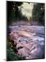 River flowing through a forest, McKenzie River, Belknap Hot Springs, Willamette National Forest...-null-Mounted Photographic Print