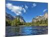 River Flowing Through a Forest, Merced River, Yosemite Valley, Yosemite National Park, Californi...-null-Mounted Photographic Print