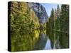 River Flowing Through a Forest, Merced River, Yosemite Valley, Yosemite National Park, Californi...-null-Stretched Canvas