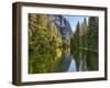 River Flowing Through a Forest, Merced River, Yosemite Valley, Yosemite National Park, Californi...-null-Framed Premium Photographic Print