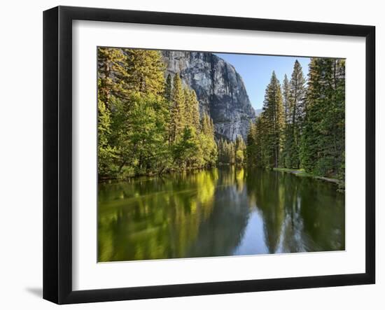 River Flowing Through a Forest, Merced River, Yosemite Valley, Yosemite National Park, Californi...-null-Framed Premium Photographic Print