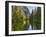 River Flowing Through a Forest, Merced River, Yosemite Valley, Yosemite National Park, Californi...-null-Framed Premium Photographic Print