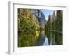 River Flowing Through a Forest, Merced River, Yosemite Valley, Yosemite National Park, Californi...-null-Framed Premium Photographic Print