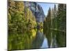 River Flowing Through a Forest, Merced River, Yosemite Valley, Yosemite National Park, Californi...-null-Mounted Premium Photographic Print