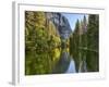River Flowing Through a Forest, Merced River, Yosemite Valley, Yosemite National Park, Californi...-null-Framed Photographic Print