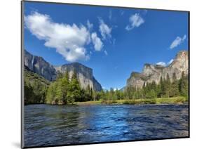 River Flowing Through a Forest, Merced River, Yosemite Valley, Yosemite National Park, Californi...-null-Mounted Photographic Print