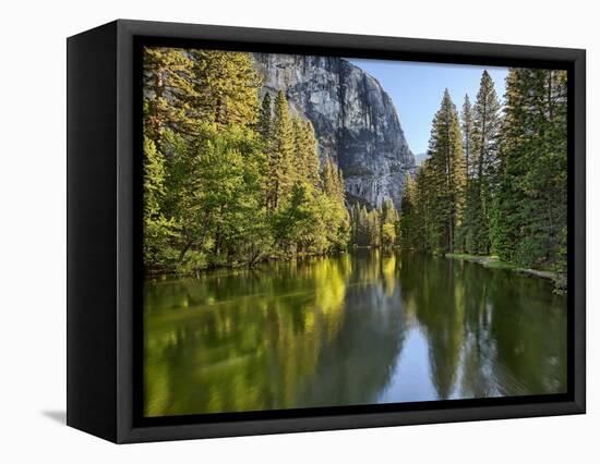 River Flowing Through a Forest, Merced River, Yosemite Valley, Yosemite National Park, Californi...-null-Framed Stretched Canvas