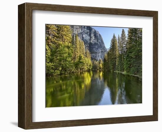 River Flowing Through a Forest, Merced River, Yosemite Valley, Yosemite National Park, Californi...-null-Framed Photographic Print