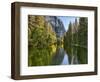 River Flowing Through a Forest, Merced River, Yosemite Valley, Yosemite National Park, Californi...-null-Framed Photographic Print