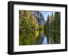 River Flowing Through a Forest, Merced River, Yosemite Valley, Yosemite National Park, Californi...-null-Framed Photographic Print