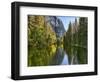 River Flowing Through a Forest, Merced River, Yosemite Valley, Yosemite National Park, Californi...-null-Framed Photographic Print