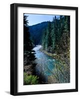 River flowing through a forest, North Umpqua River, Umpqua National Forest, Douglas County, Oreg...-null-Framed Photographic Print