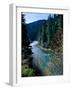 River flowing through a forest, North Umpqua River, Umpqua National Forest, Douglas County, Oreg...-null-Framed Photographic Print