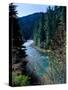 River flowing through a forest, North Umpqua River, Umpqua National Forest, Douglas County, Oreg...-null-Stretched Canvas