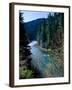 River flowing through a forest, North Umpqua River, Umpqua National Forest, Douglas County, Oreg...-null-Framed Photographic Print