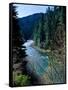 River flowing through a forest, North Umpqua River, Umpqua National Forest, Douglas County, Oreg...-null-Framed Stretched Canvas