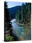 River flowing through a forest, North Umpqua River, Umpqua National Forest, Douglas County, Oreg...-null-Stretched Canvas