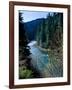 River flowing through a forest, North Umpqua River, Umpqua National Forest, Douglas County, Oreg...-null-Framed Photographic Print