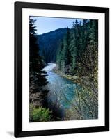 River flowing through a forest, North Umpqua River, Umpqua National Forest, Douglas County, Oreg...-null-Framed Photographic Print