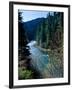 River flowing through a forest, North Umpqua River, Umpqua National Forest, Douglas County, Oreg...-null-Framed Photographic Print