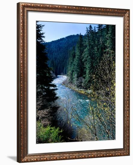 River flowing through a forest, North Umpqua River, Umpqua National Forest, Douglas County, Oreg...-null-Framed Photographic Print